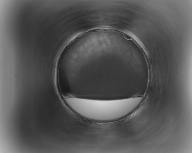 X0000088231245200705292127