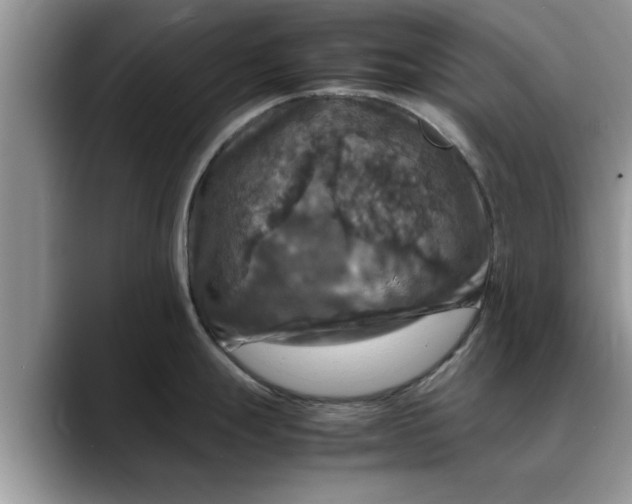 X0000088231247200705292127