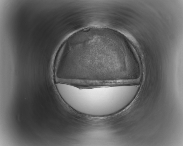 X0000088231248200705292127
