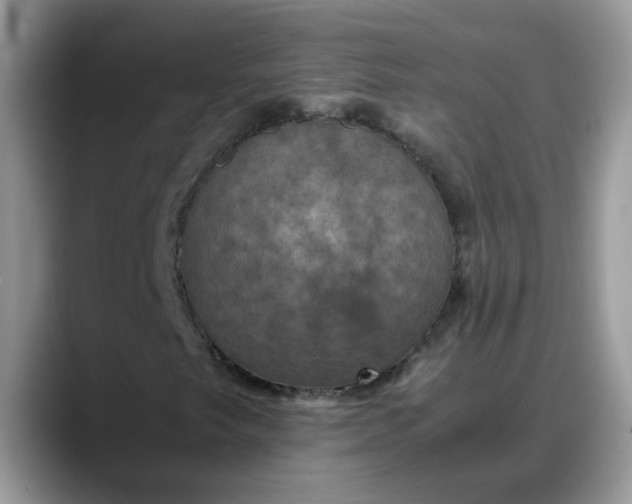 X0000088231249200705292127