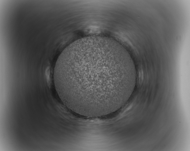 X0000088231250200705292127
