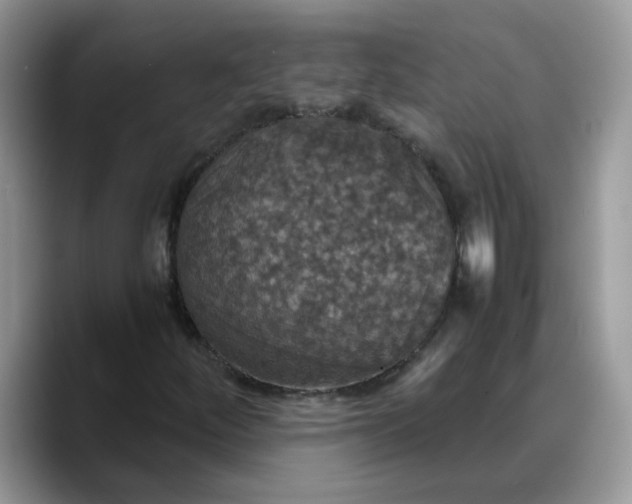 X0000088231252200705292127