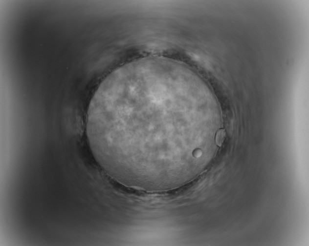 X0000088231253200705292127