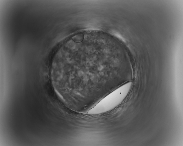 X0000088231255200705292127