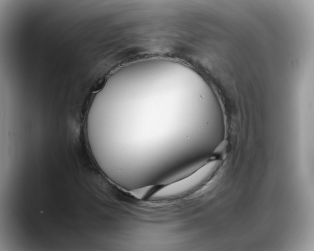 X0000088231257200705292127