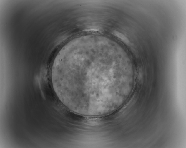 X0000088231258200705292127