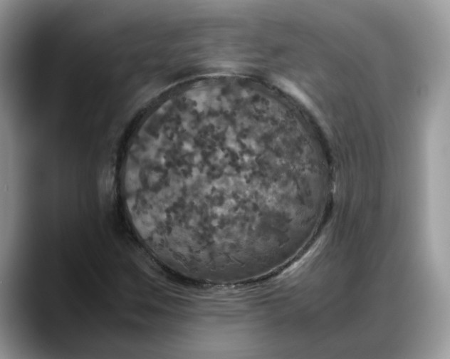 X0000088231259200705292127