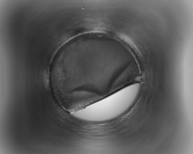X0000088231260200705292127