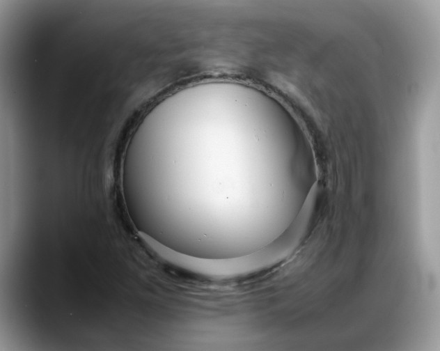 X0000088231261200705292127