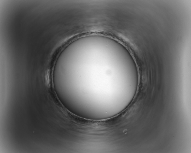 X0000088231262200705292127