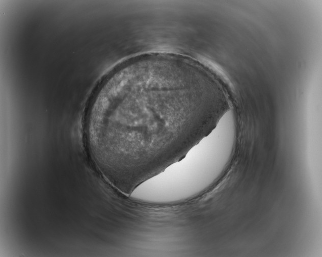 X0000088231264200705292127
