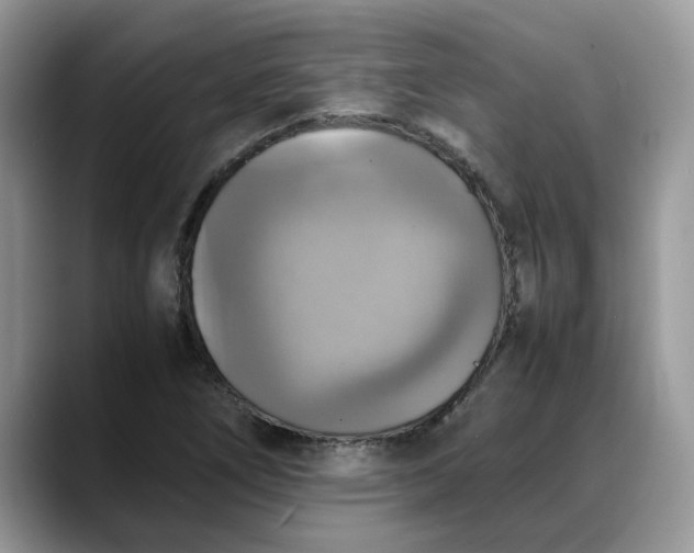 X0000088231266200705292127