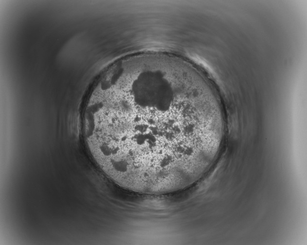 X0000088231267200705292127