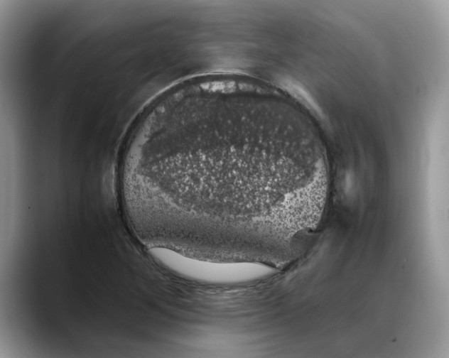 X0000088231268200705292127