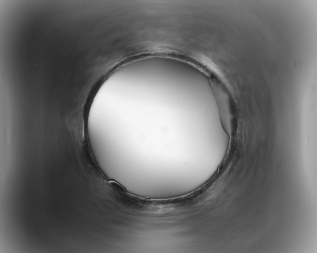 X0000088231269200705292127