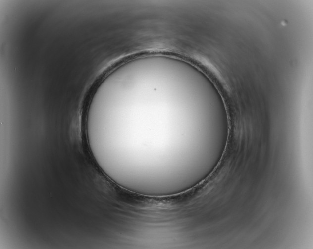 X0000088231270200705292127
