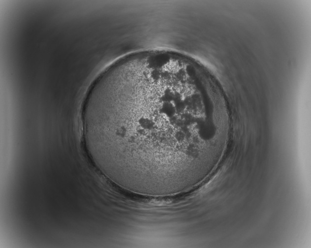 X0000088231271200705292127