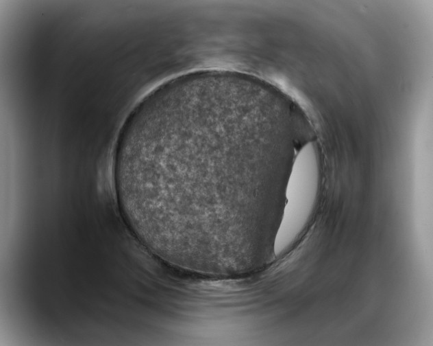 X0000088231272200705292126