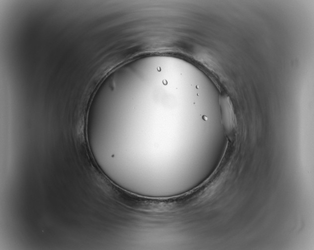 X0000088231273200705292126