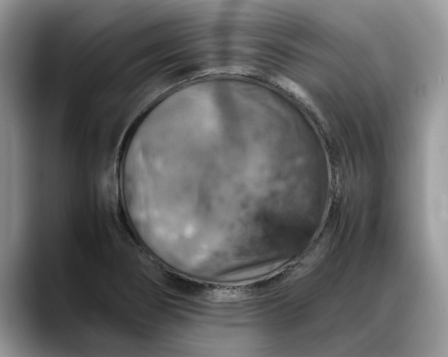 X0000088231274200705292126