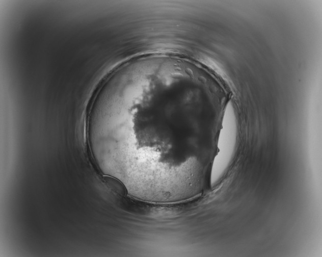 X0000088231275200705292126