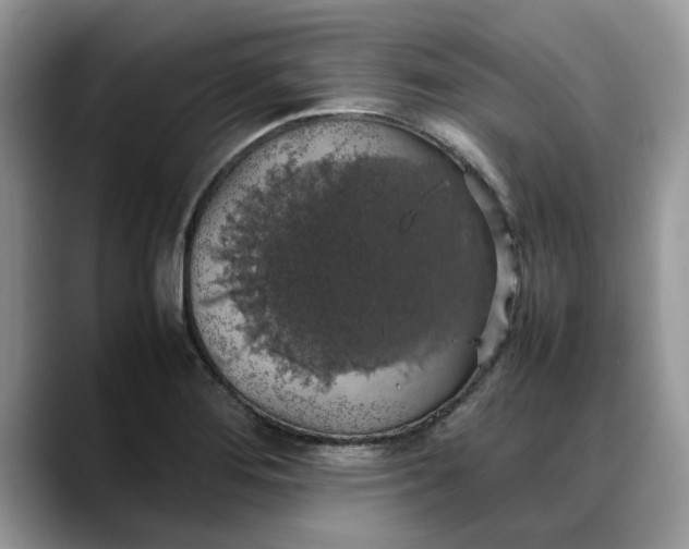 X0000088231276200705292126