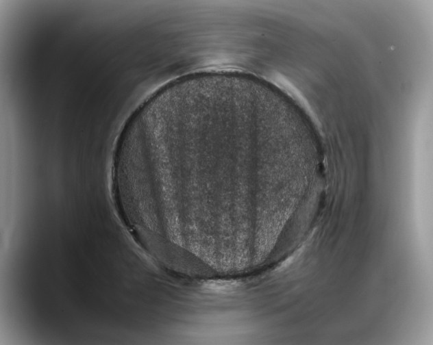 X0000088231277200705292126