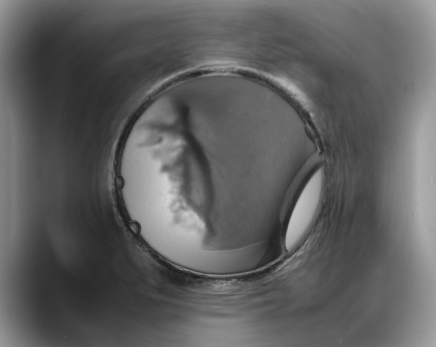 X0000088231279200705292126