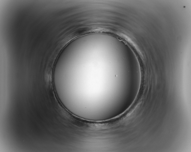 X0000088231281200705292126