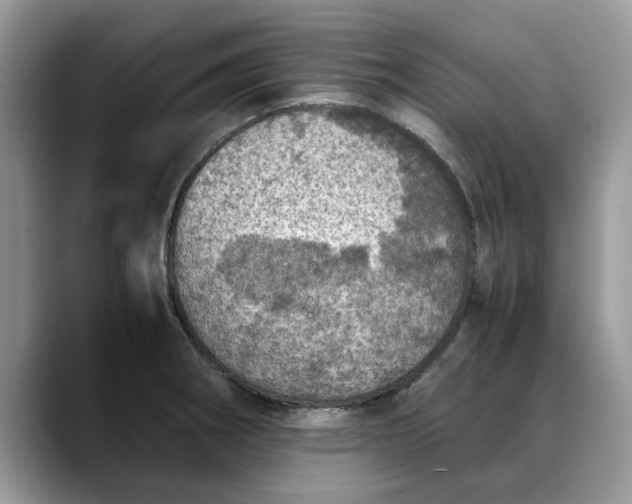 X0000088231282200705292126