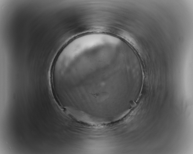 X0000088231283200705292126
