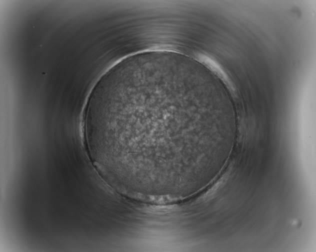 X0000088231284200705292126