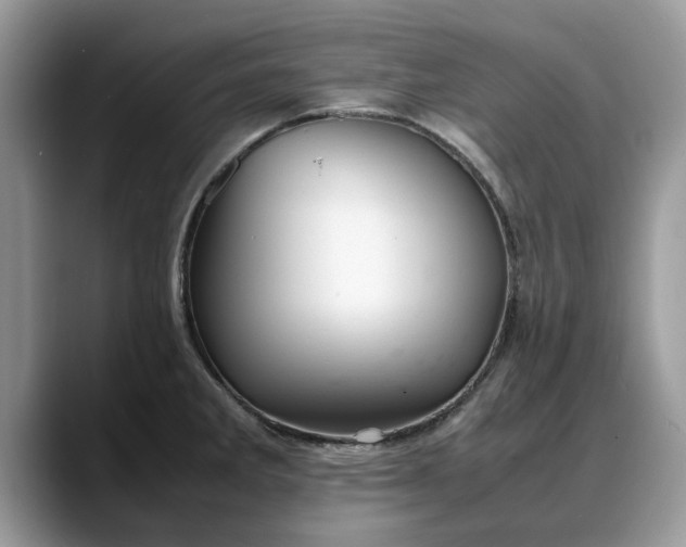 X0000088231285200705292126