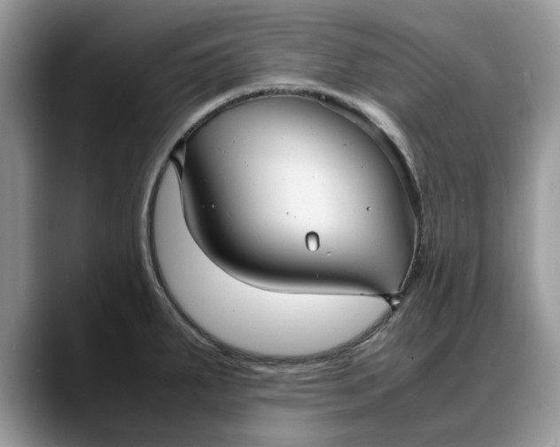 X0000088231287200705292126