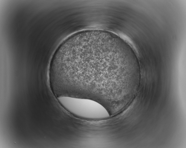 X0000088231288200705292126