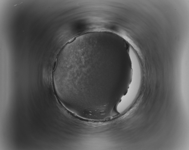 X0000088231289200705292126