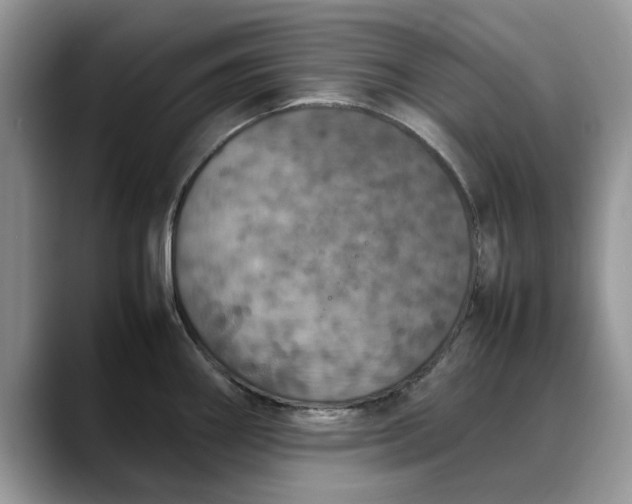 X0000088231290200705292126