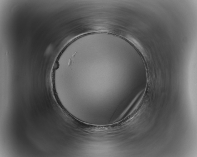 X0000088231291200705292126