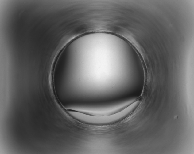 X0000088231293200705292126
