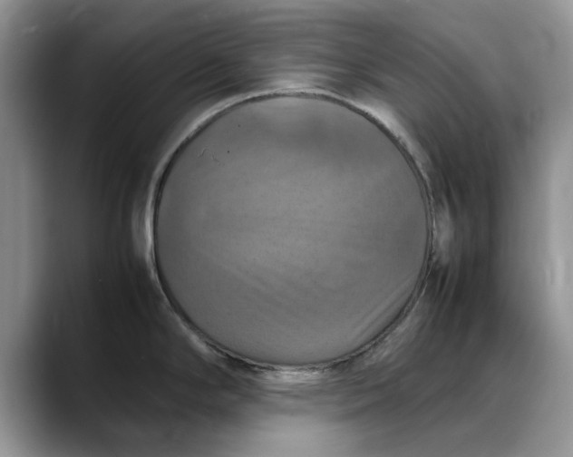 X0000088231294200705292126