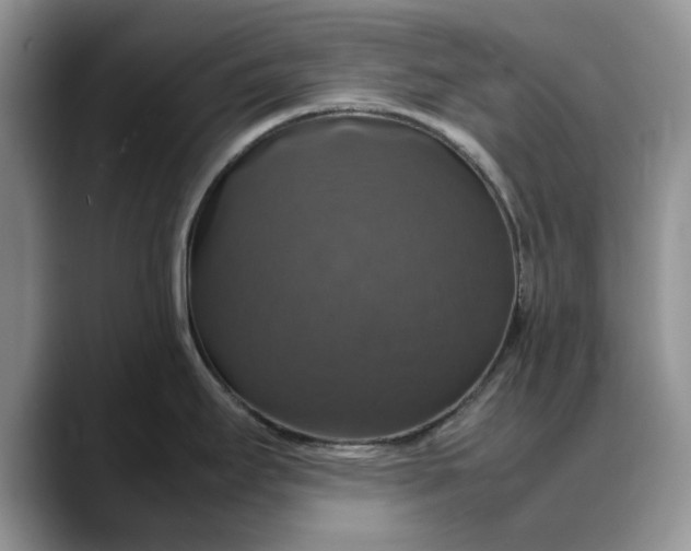 X0000088231295200705292126