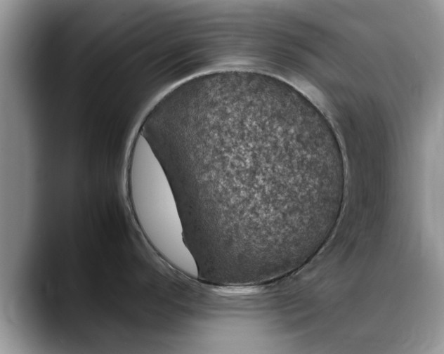 X0000088231296200705292126