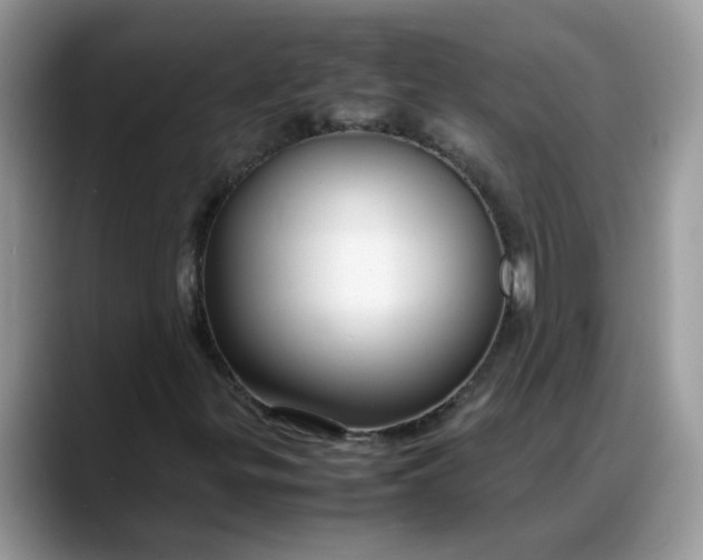 X0000088231299200705292126