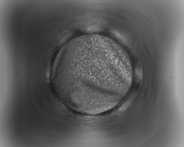 X0000088231300200705292126