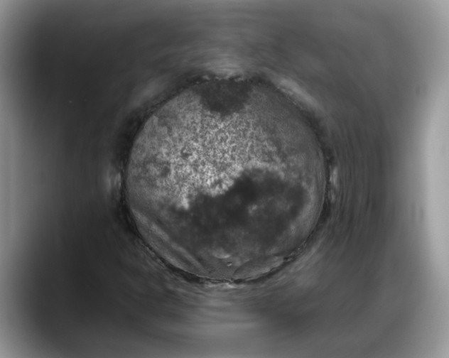 X0000088231302200705292126