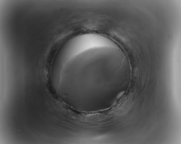 X0000088231303200705292126