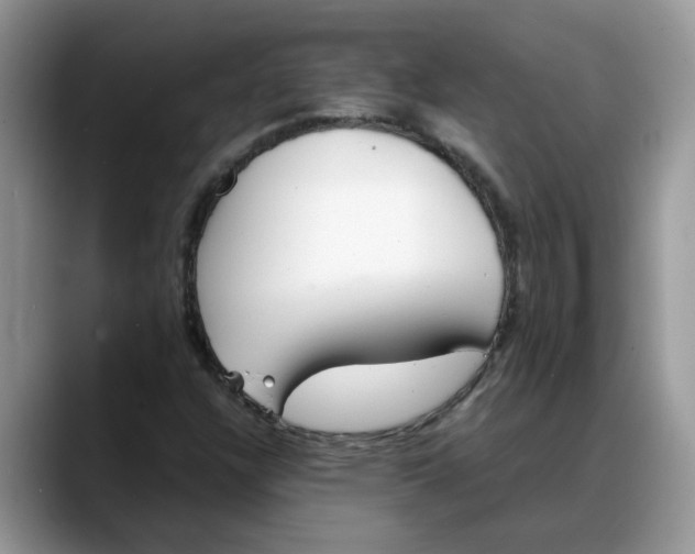 X0000088231304200705292126