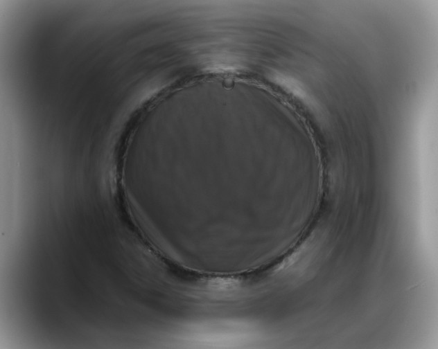 X0000088231306200705292126
