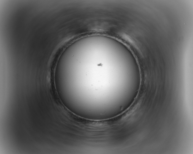 X0000088231307200705292126