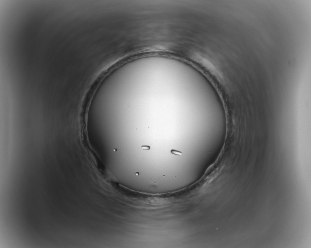 X0000088231308200705292126